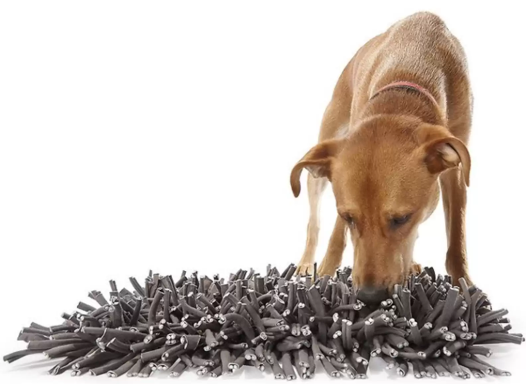 Snuffle Mats for Dogs: 5 Best Picks That Actually Keep Pups Busy