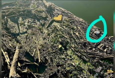 Kayaker Spots Pelican Trapped in River Sludge — And Paddles In to Save Her Life