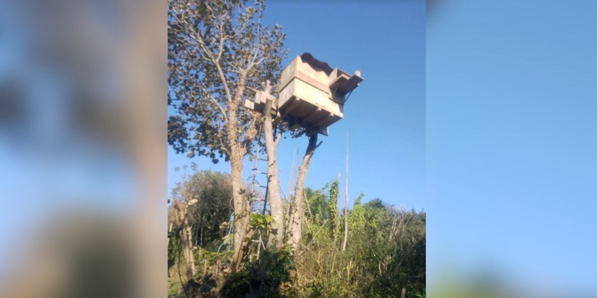 Nest Camera Meant For Owls Catches A Very Different Family Moving In
