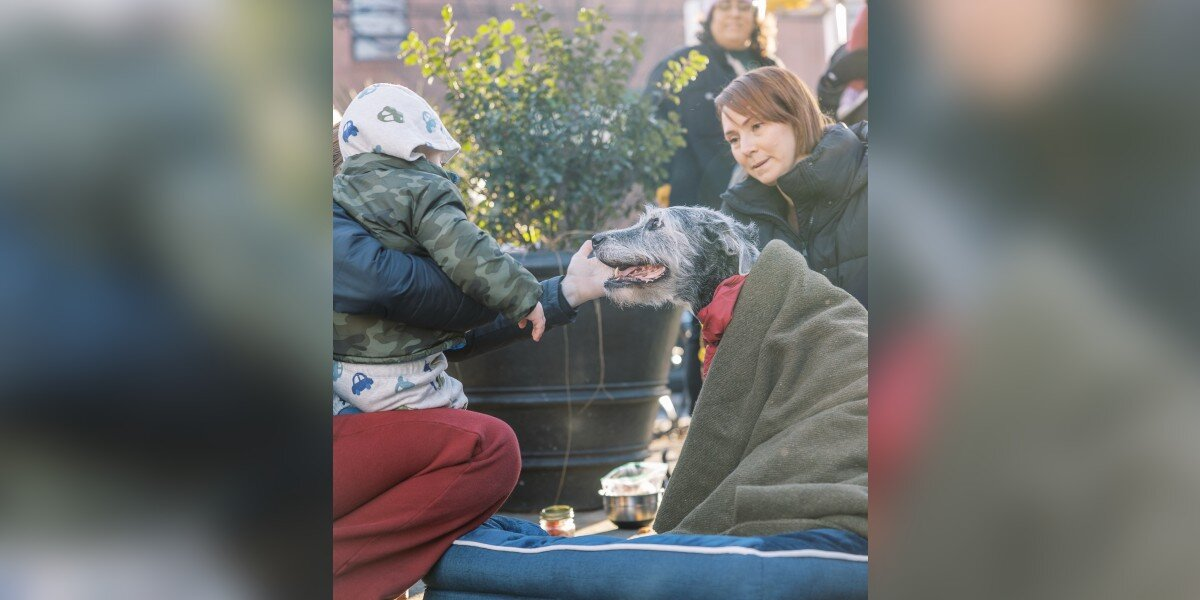 Dog Mom’s Facebook Post Turns Her Senior Pup’s Final Day Into a Neighborhood Celebration