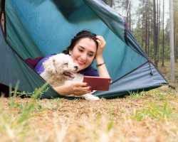 Camping With Dogs: Everything You Need to Know Before You Go