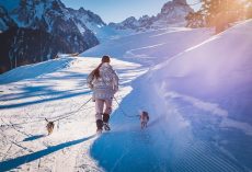 How Cold Is Too Cold to Walk Your Dog? Watch for These Warning Signs