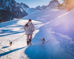 How Cold Is Too Cold to Walk Your Dog? Watch for These Warning Signs