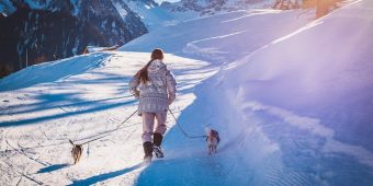 How Cold Is Too Cold to Walk Your Dog? Watch for These Warning Signs