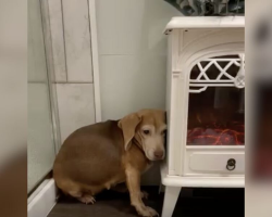 She Couldn’t Bring Herself To Make Eye Contact — Until She Found The People She Needed