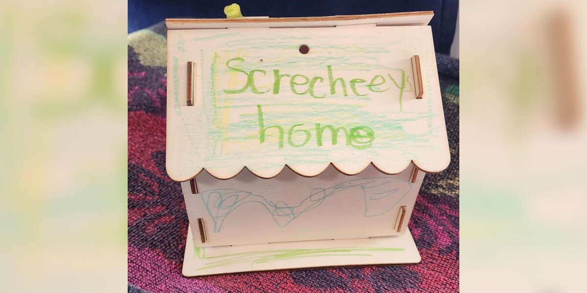Kids Discover A Hershey’s Kiss-Sized Bat And Build Him A Tiny House To Keep Him Safe