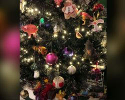 Everyone’s Trying — and Failing — to Spot the Cat Hidden in This Christmas Tree