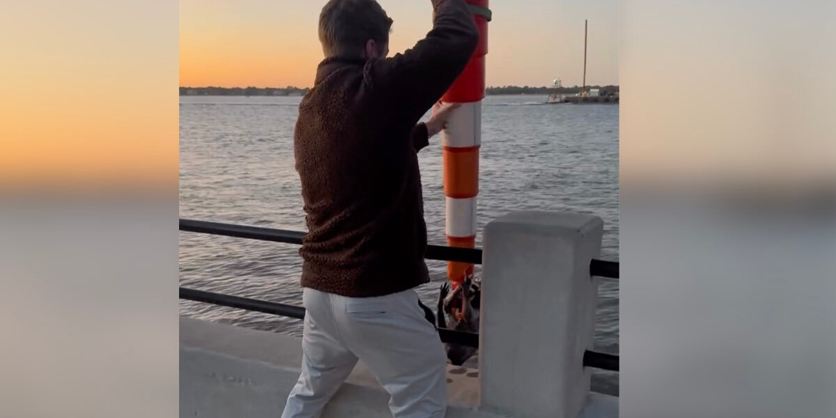 Morning Walk Turns Into A Race Against Time When Couple Uses Traffic Cone To Save Baby Raccoon