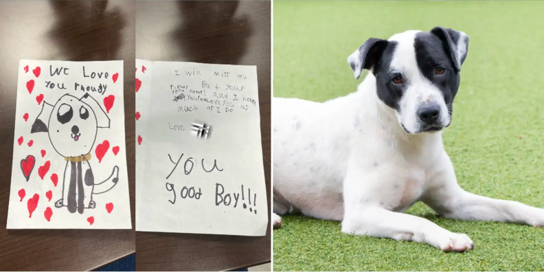 Shelter Writes Back After Kids Leave Heartbreaking Note With Dog They Had To Give Up