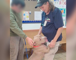 Crying Man Repeats “She’s a Really Good Dog” as He Says Goodbye to Pup After Her Dad Is Deported