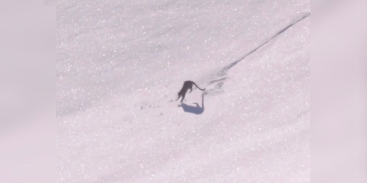 Photographer Captures a Rare, Playful Moment From One of the World’s Most Mysterious Big Cats