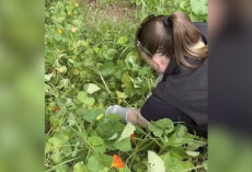 Woman Hears Crying From a Flower Bed — Then Discovers a Wild Baby Who Fell From the Sky