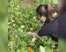 Woman Hears Crying From a Flower Bed — Then Discovers a Wild Baby Who Fell From the Sky