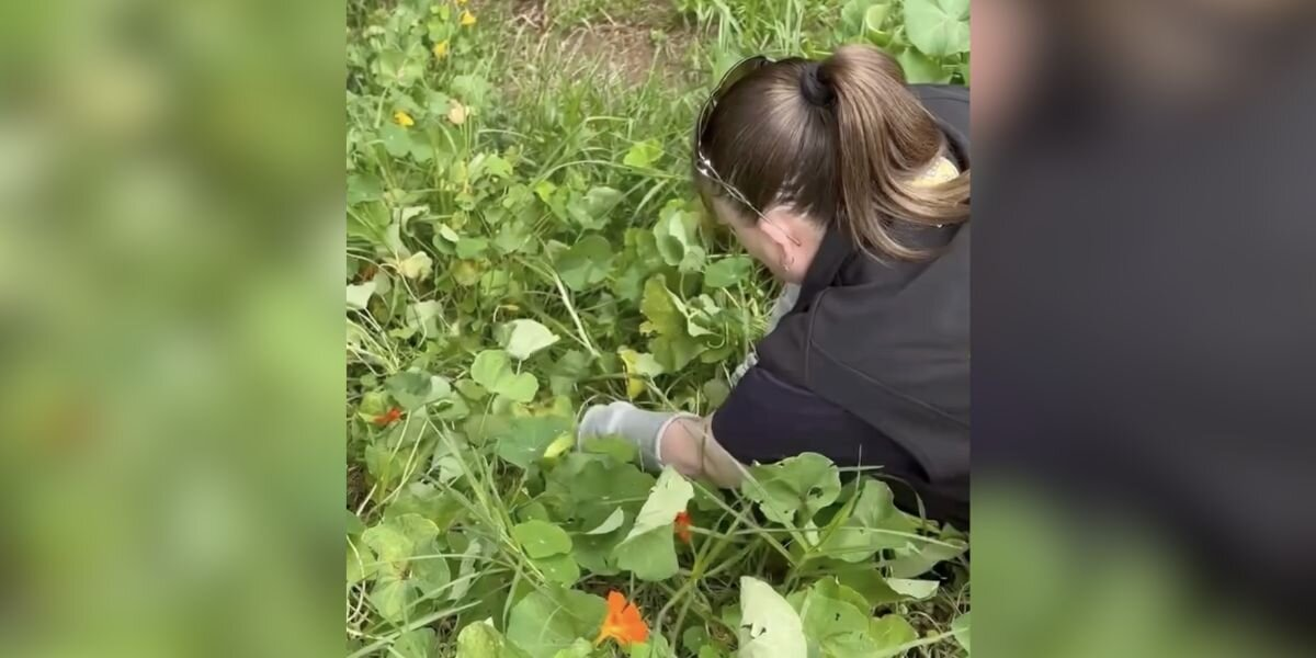 Woman Hears Crying From a Flower Bed — Then Discovers a Wild Baby Who Fell From the Sky