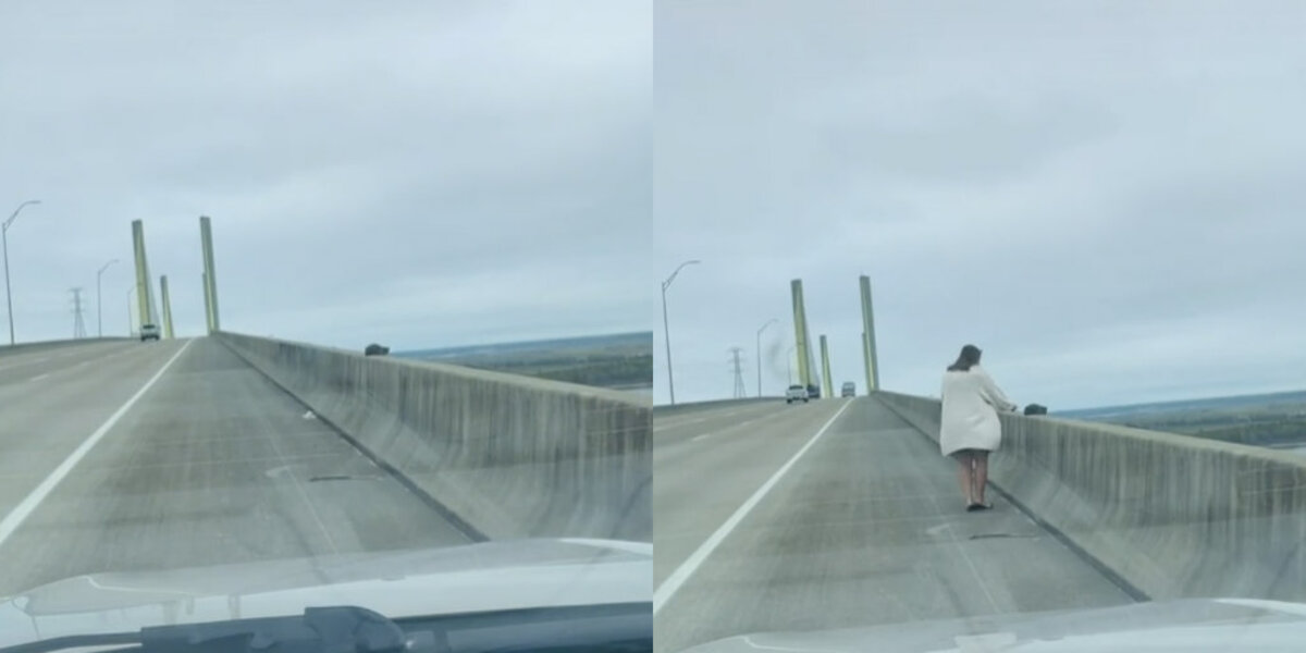 She Was Driving Home When She Saw Something Tiny Clinging To A Bridge — And She Knew She Had To Stop