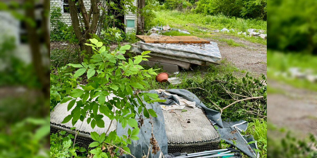 Six Abandoned Puppies Found Clinging To Each Other On A Dumped Mattress