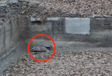 Hikers Spot ‘Something Wrong’ In An Abandoned Reservoir — And Realize Two Lives Depend On Them