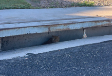 Woman Hears Crying From A Storm Drain — Then Learns The Three-Legged Cat Inside Is 14 Years Old