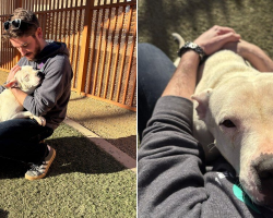 Sweet Shelter Dog Gives Hugs To Everyone She Meets While Waiting For A Family