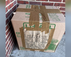 On A Freezing Morning, Shelter Staff Opened A Taped Box — And Found A Puppy Clutching A Heartbreaking Note