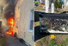 As Flames Tore Through Her Bedroom, Firefighters Emerged With A Burned Cage — And A Miracle Inside