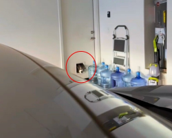 Couple Sets Up a Stakeout to Catch a Midnight Kibble Thief — and His Guilty Reaction Is Priceless