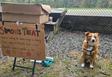 Before Saying Goodbye, This Dog Shared His Favorite Donuts With Every Friend He Loved