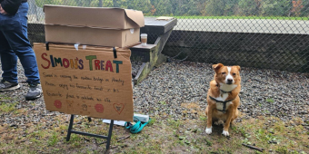 Before Saying Goodbye, This Dog Shared His Favorite Donuts With Every Friend He Loved