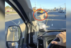 Man Spots a Tiny Fuzzball Stranded on a Busy Highway — and Risks Traffic to Save Him