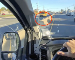 Man Spots a Tiny Fuzzball Stranded on a Busy Highway — and Risks Traffic to Save Him