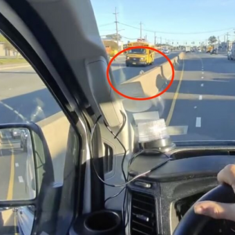 Man Spots a Tiny Fuzzball Stranded on a Busy Highway — and Risks Traffic to Save Him