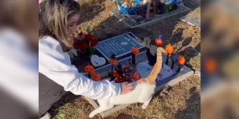 Couple Visiting Their Cat’s Grave Meets A Friendly Stray — And It Feels Like A Sign
