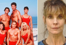 Baywatch icon arrested after freeing beagles from lab breeders