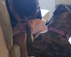 Terrified Rescue Dog Learns The Meaning Of Love