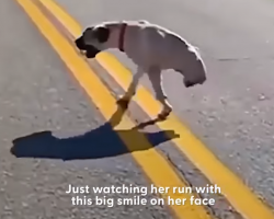 Dog With Two Legs Can’t Stop Smiling When She Runs
