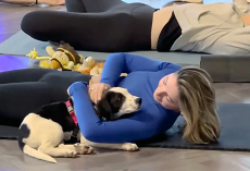 Shelter Puppy Picks One Woman At Yoga Class — And Won’t Leave Her Side