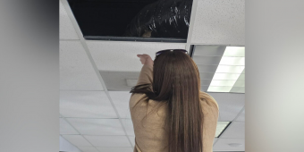 Dealership Employees Hear Tiny Noises Above Them — Then Watch Emotional Wildlife Reunion