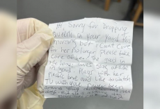 Family Discovers Shaking Dog Left In Their Yard — Then Reads The Heartbreaking Note Beside Her
