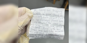 Family Discovers Shaking Dog Left In Their Yard — Then Reads The Heartbreaking Note Beside Her