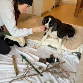 Dog Stuck On Bed Rest Can’t Visit His Favorite Park — So His Mom Brings It Home To Him