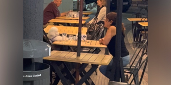 Stranger Films Woman Enjoying Dinner With Her Dog — And The Internet Can’t Get Enough