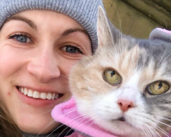 Woman Adopts Her Grandparent’s Grumpy Cat And Then Has The Best Idea