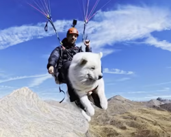 Dog And His Dad Sleep on a 9,400-Foot Mountain to Paraglide at Sunrise