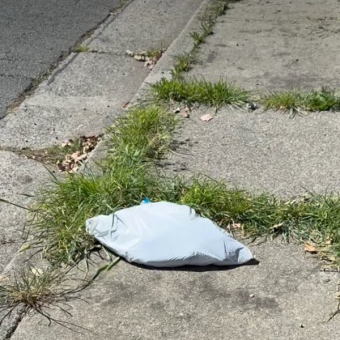 Woman Hears Tiny Cries Coming From A Trash Bag — Then Discovers Four Kittens Trapped Inside