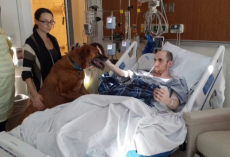 Young Man’s Final Wish Before Losing His Battle With Cancer Was One Last Hug From His Beloved Dog
