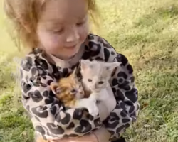 Little Girl Becomes Mom To Orphaned Kittens