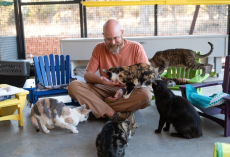 Retired Volunteer Notices Shelter Cats Have Nowhere Cozy To Relax — So He Starts Building Tiny Chairs For Them