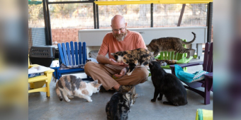Retired Volunteer Notices Shelter Cats Have Nowhere Cozy To Relax — So He Starts Building Tiny Chairs For Them
