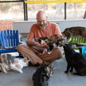 Retired Volunteer Notices Shelter Cats Have Nowhere Cozy To Relax — So He Starts Building Tiny Chairs For Them